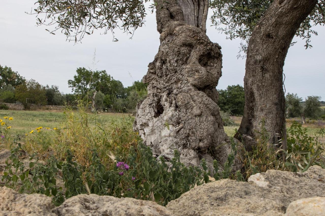 Ych-Le Grotte Di Sileno Bed and Breakfast Καστελανέτα Εξωτερικό φωτογραφία