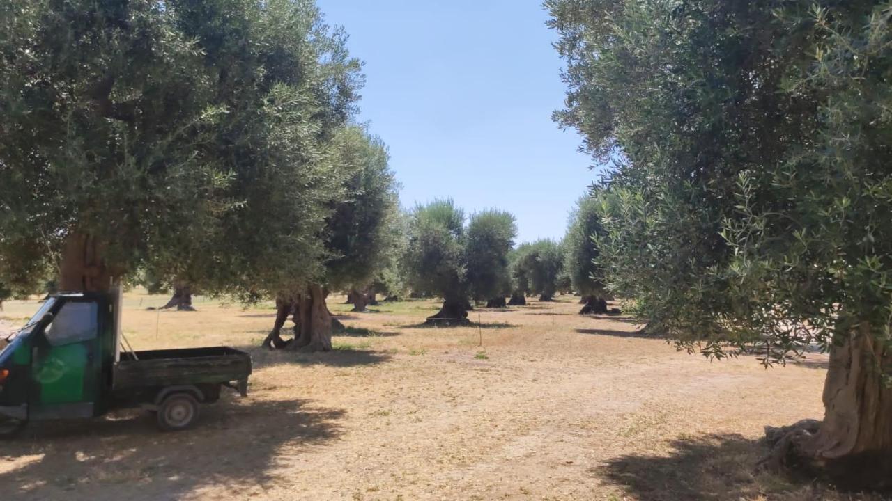 Ych-Le Grotte Di Sileno Bed and Breakfast Καστελανέτα Εξωτερικό φωτογραφία
