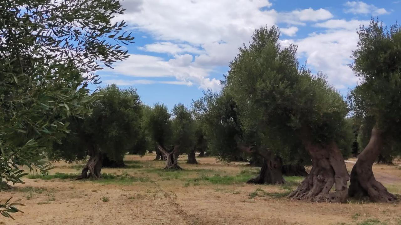 Ych-Le Grotte Di Sileno Bed and Breakfast Καστελανέτα Εξωτερικό φωτογραφία